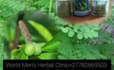 Men's Herbal Clinic For Male Enhancement in Al Qa`abiyah +27782669503 Al Wakrah,  Al `Adhbah,An Najmah Qatar & World Wide