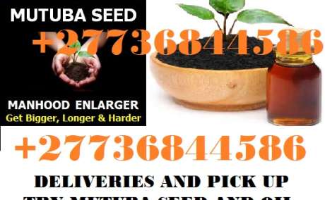 I sell 100% penis enlargement India Pakistan Oman Jordan mutuba seed classifieds +27736844586