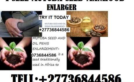 MUTUBA SEED AND OIL FOR PENIS ENLARGER FROM AFRICA +27736844586